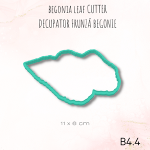 Begonia B4.4