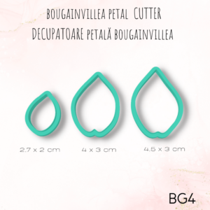 Bougainvillea BG4