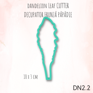 Papadie DN2.2