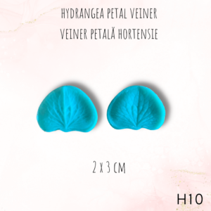 Hortensie H10