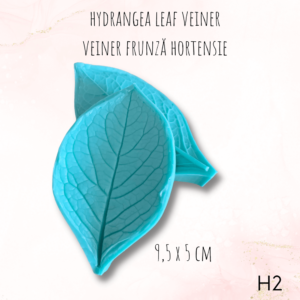 Hortensie H2