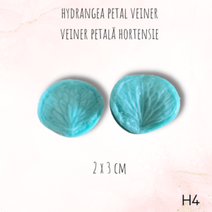 Hortensie H4