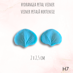 Hortensie H7