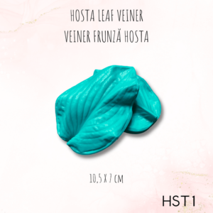 Hosta HST1