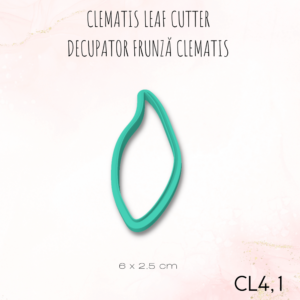 Clematis CL4.1