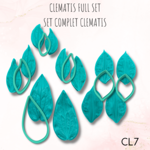 Clematis CL7