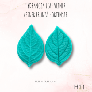 Hortensie H11