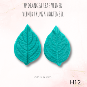 Hortensie H12